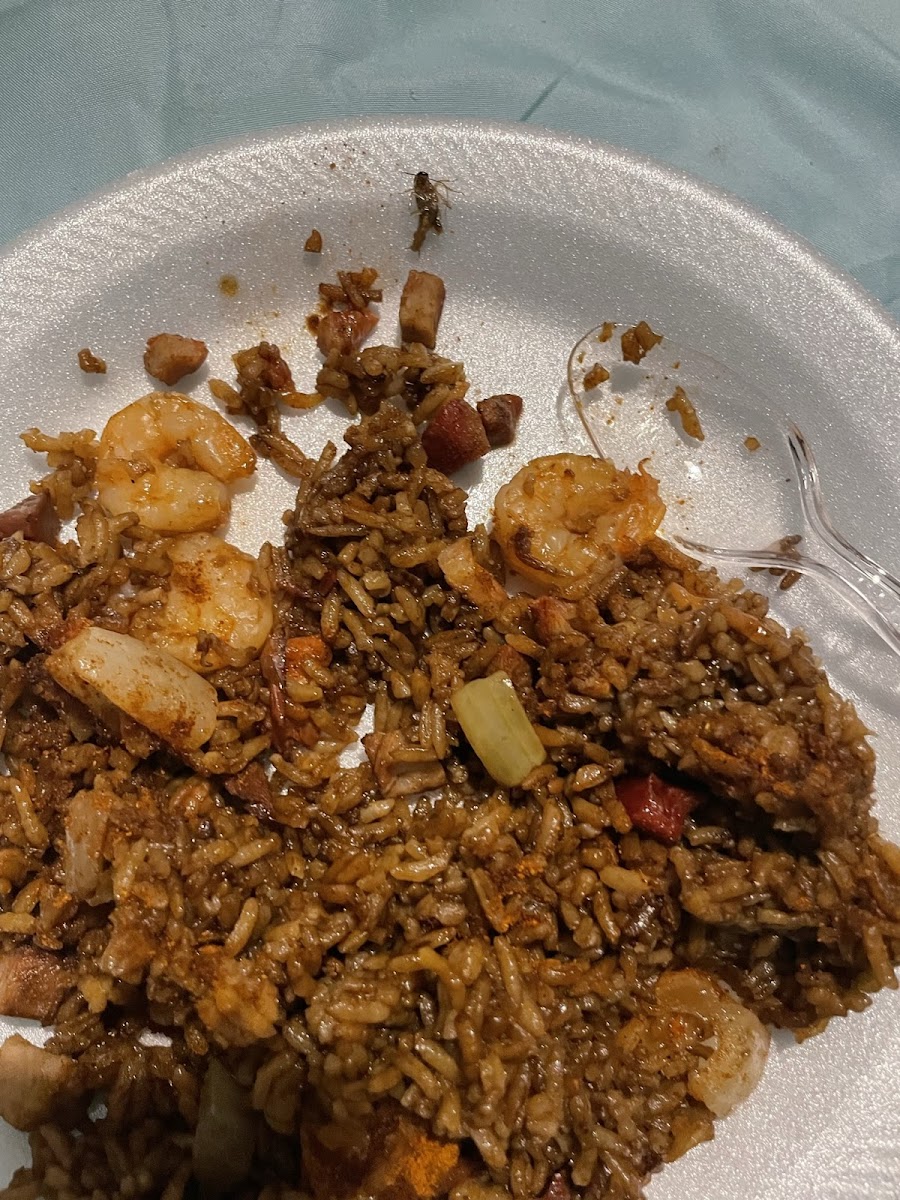 Dragon Chinese Restaurant Photos 2